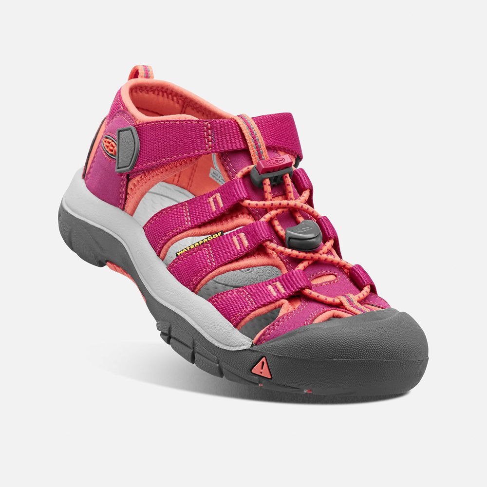 Sandalias Keen Mexico Rosas/Coral - Niños Newport H2 - KU8527963